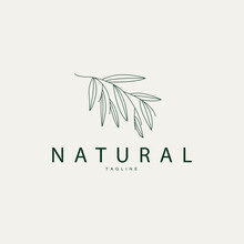 Minimalist Feminine Botanical Flower Beauty Line Plant Logo, Design Vector Illustration