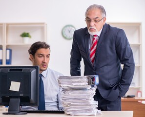 Wall Mural - Old boss and young male employee in the office