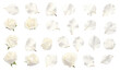 White rose petals isolated on a transparent background created with Generative AI technology
