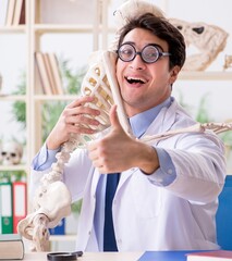 Sticker - Crazy professor studying human skeleton