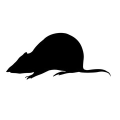 Wall Mural - Mouse silhouette