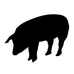 Wall Mural - Pig silhouette