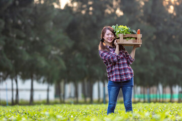 Wall Mural - Asian woman farmer is carrying the wooden tray full of freshly pick organics vegetables in her garden for harvest season and healthy diet food concept