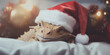 Symbol of the year 2024, a toy dragon in a Santa hat on bokeh Christmas background