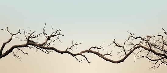 Wall Mural - Dry tree branches falling into the sky