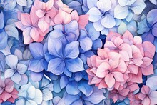 Watercolor Hydrangea Flower Background. Watercolor Illustration.