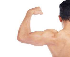 Wall Mural - Back of bodybuilder, strong muscle and training bicep, arm or gym on isolated, transparent or png background. Model, check growth or progress of body, muscles or flexing in exercise or workout