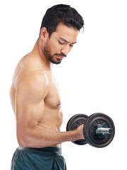 Poster - Arm, fitness and dumbbells with bodybuilder man isolated on a transparent background for health or wellness. Exercise, weight or bicep muscle with a strong male athlete on PNG for a training workout