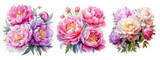 Watercolor pink peony flowers bouquet, peony flowers isolated on transparent background