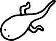 tadpole with legs doodle line
