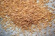overhead view of scattered malt barley grains on concrete floor