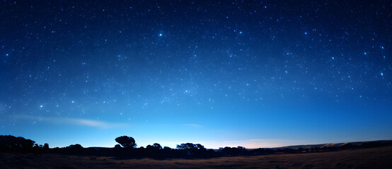 Wall Mural - The earth under the stars 1