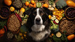 A dog with healthy foods around him
