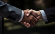 © AVishka - A Handshake Between Two Experts - handshake between two professionals