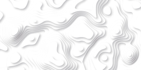  Abstract white paper cut background with lines. Background of the topographic map. White wave paper curved reliefs abstract background. Realistic papercut decoration textured with wavy layers.