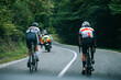 World of Cycling. Two Cyclists Amidst Green Summer Scenery. Sport photo, cyclists preparing for big summer road races in France.