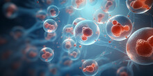 Human cell or Embryonic stem cell  Medical Science: Human Cells and Embryonic Stem Cells