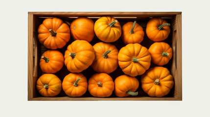 Wall Mural - pumpkin in the wood box on white background, close up collection of fresh ingredients healthy food, fruit, vegetables for healthy delicious food theme