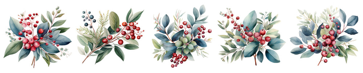 Wall Mural - Eucalyptus with berries watercolour set. 