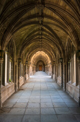  Cornell University in Ithaca New York