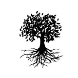 Fototapeta  - silhouette of a tree