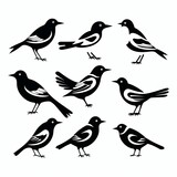 Fototapeta Dinusie - illustration of vector illustration of cute birds in the style of hig, Generative ai