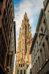 Wall Mural - bottom view of the gothic Cathedral of Our Lady in Antwerp