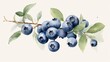  a branch of blueberries with leaves and berries on it.  generative ai