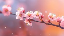  A Branch With Pink Flowers On It With Water Droplets On It.  Generative Ai
