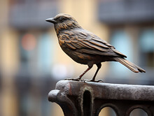 A Bronze Statue Of A Sparrow