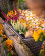 Herbst im Blumenkasten