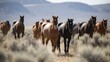 Small band of wild horses approaches with curiosity in the high desert West on public lands in Wyoming, USA Wyoming, United States of America 