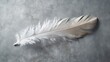  a white feather on a gray background with a white background.  generative ai