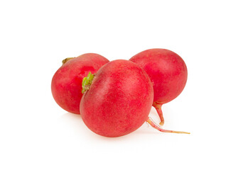 Sticker - red radish on white background