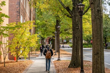 Wall Mural - Georgia Tech