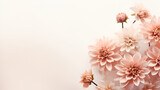 Banner with dahlia flowers scattered on a pastel background. Natural vintage greeting card