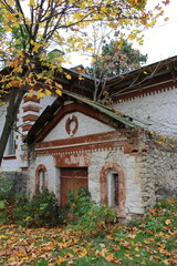 Wall Mural - A building with a tree and leaves