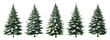 Set of green trees with snow isolated on the white background, fir tree, spruce tree, Christmas trees vector, festive poster or party invitation