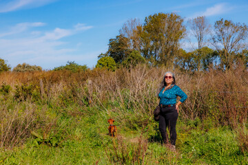 Wall Mural - Smiling tourist together with her brown dog on trail in Maasvallei nature reserve, wild vegetation and trees against blue sky in background, sunny autumn day in Meers, Elsloo, Netherlands