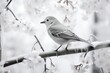 © Sidewaypics - Wildlife in Winter - Generative AI