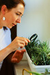 inspection of domestic plants for the presence of pests and diseases with a magnifying glass