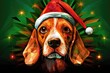A dog wearing a santa hat on a green background