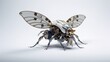 Eine Roboter Mücke oder Fliege vor weißem Hintergrund.