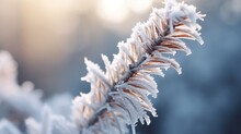  A Close - Up Of A Snow - Covered Branch Of A Pine Tree In The Foreground, With The Sun Shining Through The Branches In The Background, In The Foreground.  Generative Ai