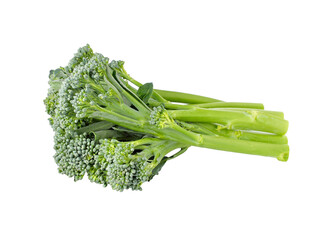 Sticker - Broccoli transparent png