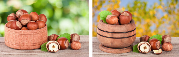 Wall Mural - Hazelnuts with leaves in a wooden bowl on a wooden table with blurred garden background