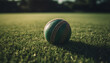 Competitive cricket ball speeds across green meadow, athlete success generated by AI