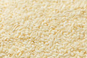 Sticker - Raw Dry White Arborio Rice