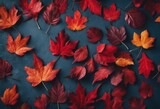 Fototapeta Kwiaty - Vibrant Autumn Palette: Top View of Colored Red Leaves on Blue Slate Background