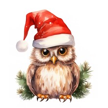 Watercolor Cute Christmas Owl In Hat Isolated On White Background